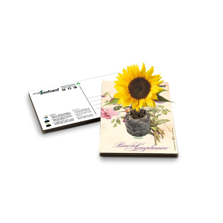 Eco-Postcard cartolina vintage con fiori | Fronte