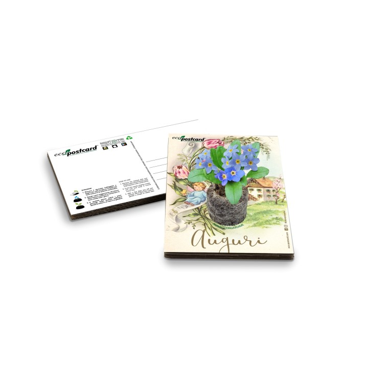 Eco-Postcard cartolina auguri d'epoca - Nontiscordardimè