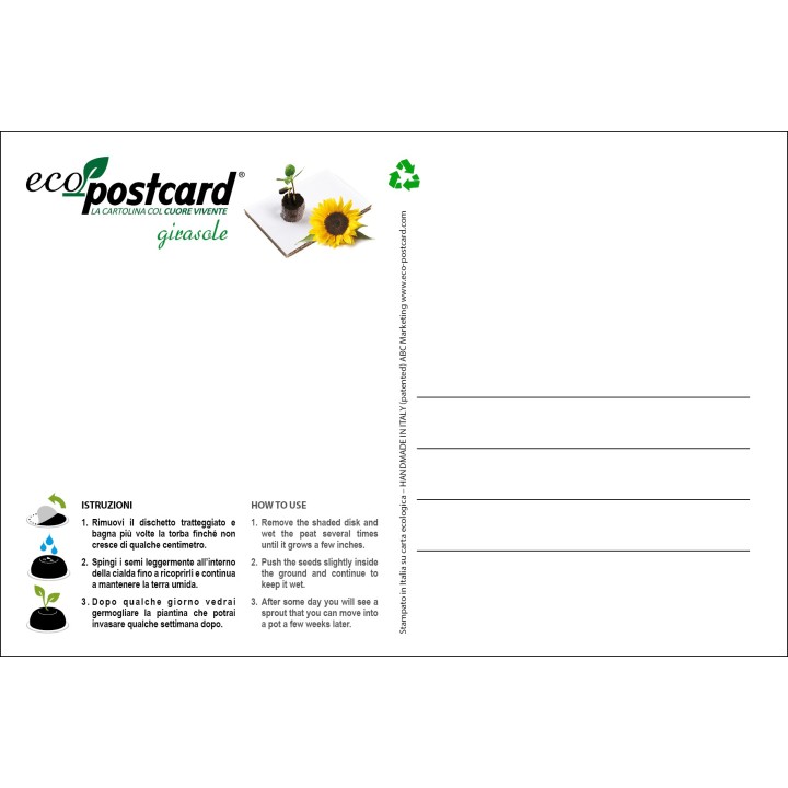 Eco-Postcard cartolina artistica Girasoli Van Gogh con Realtà Aumentata| Retro