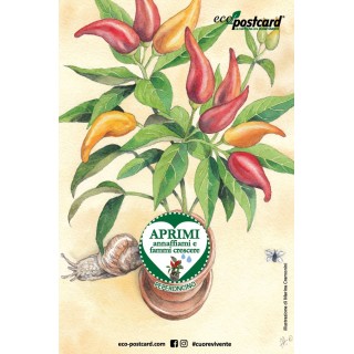 Eco-Postcard cartolina illustrazione ad acquerello - Peperoncino