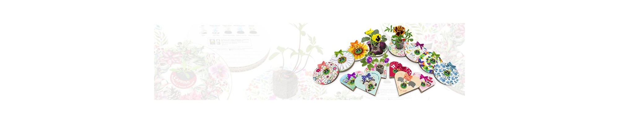 Catalogo Cuori e Palline Ecologiche