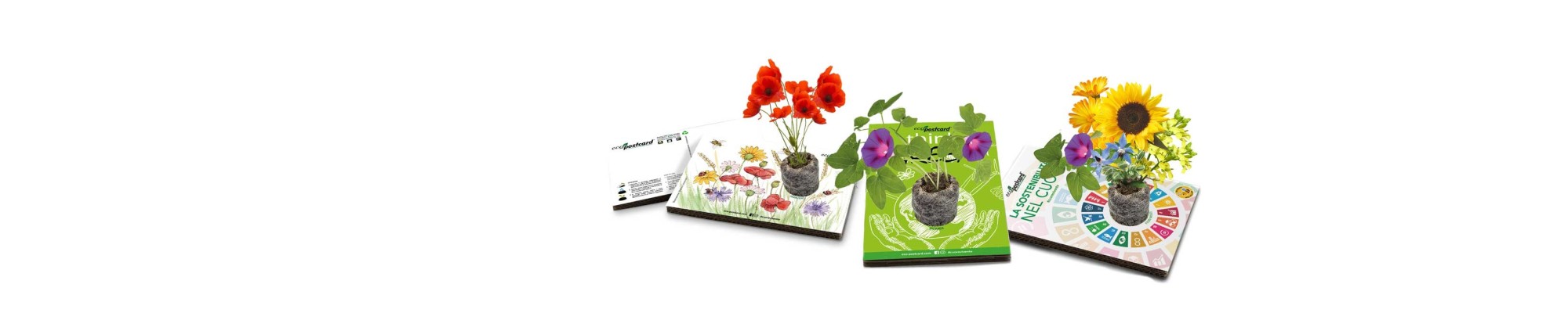 Cartoline ecologiche con semi: idee regalo green, eco gadgets | Eco-Postcard