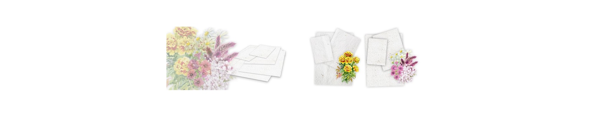 Fogli di carta piantabile